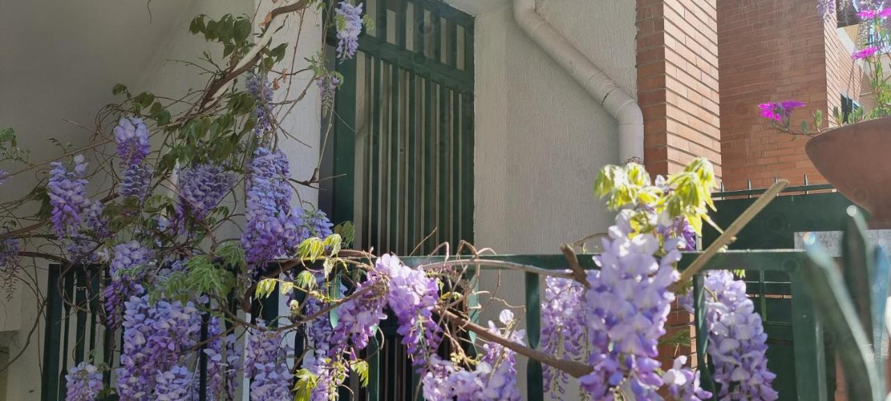 Casadei24 Apartment Guidonia Montecelio Exterior photo